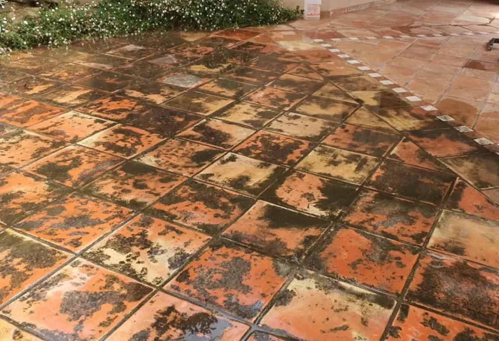 Rénovation sols près de Cannes